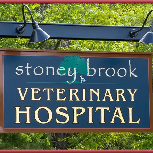 Stoney Brook Veterinary Hospital sign